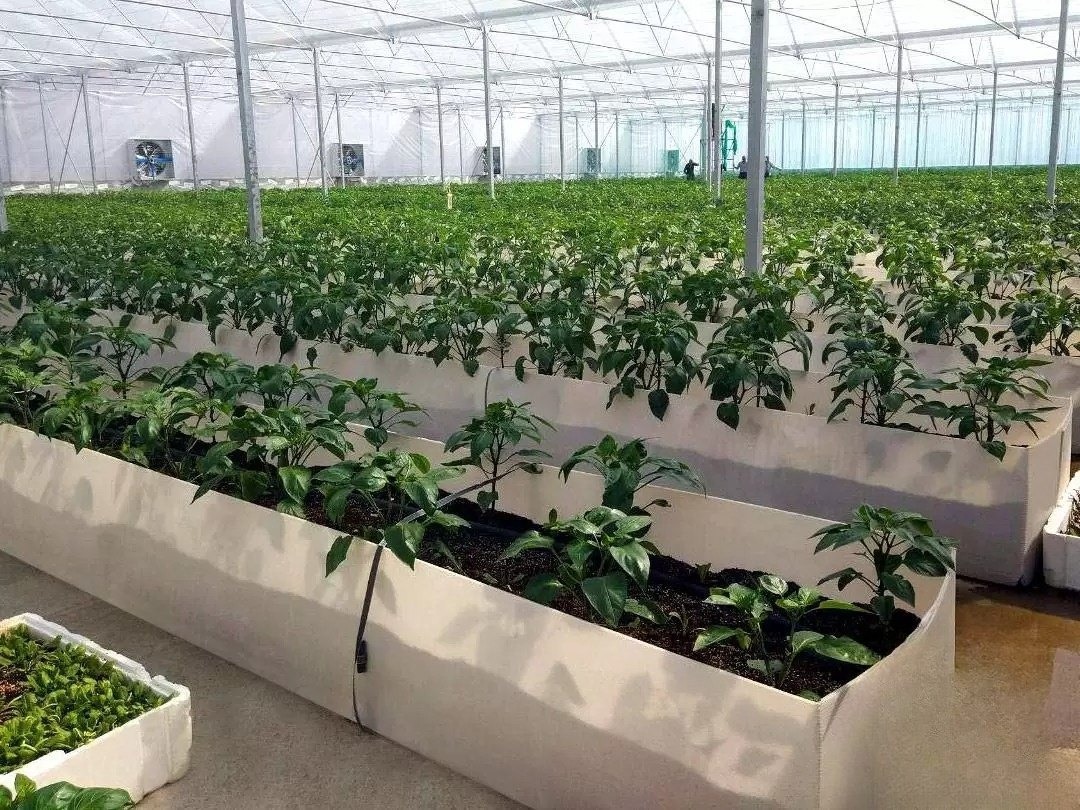 Agriculture Packaging