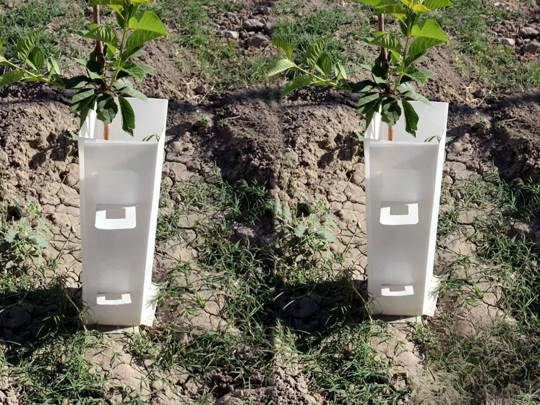 Agriculture Packaging