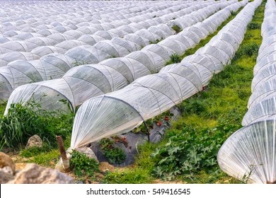 Agriculture Packaging