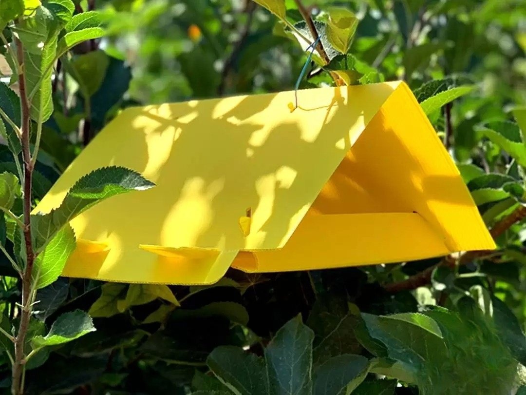 Agriculture Packaging