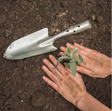 Agriculture Packaging