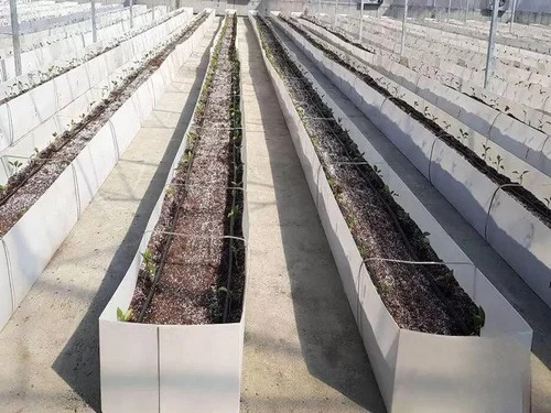 Agriculture Packaging