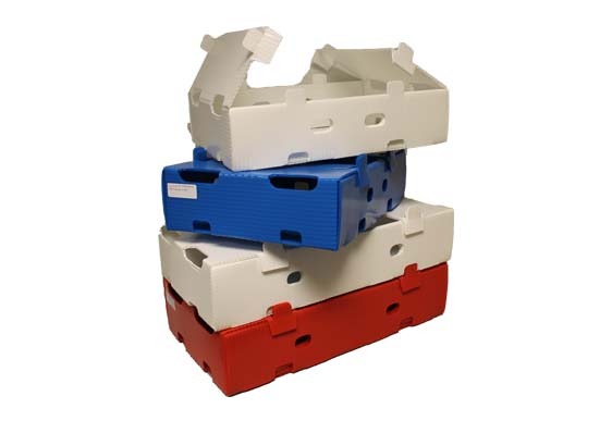 Construction Solutions