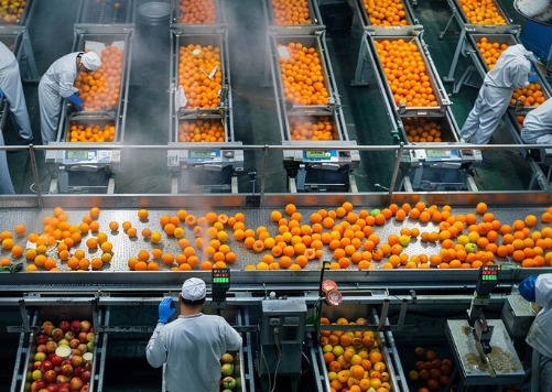 Food Industry Solutions