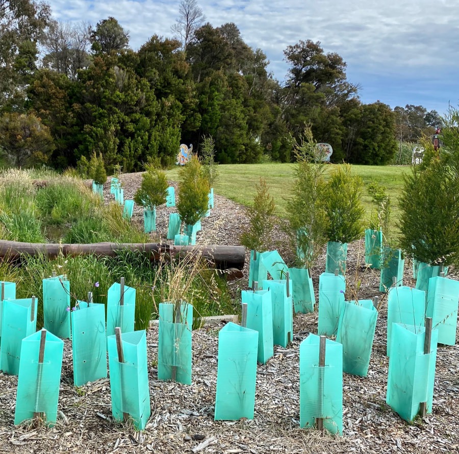 Trees Guards